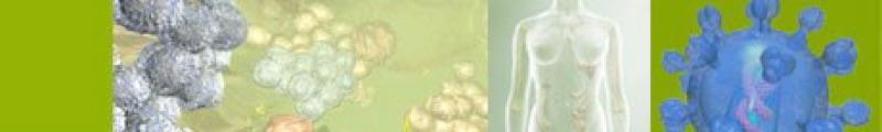 Header06